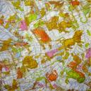 085 Sterne - 3-lagig - Steinbock - CS